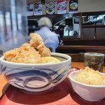 讃歌うどん はんげしょう - 横から見るとこんな感じ!!鶏天がボリューミー♡
