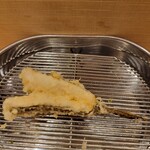 てんぷら 深町 - 女鯒