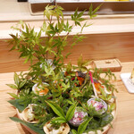 すしと天ぷら 坂本 - 