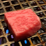 近江うし焼肉 にくTATSU - 