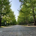らー麺　Do・Ni・Bo - 山形県総合運動公園✨✨✨