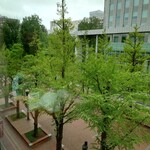 黒豚とんかつ くろまつ - 見辛いですが、左手奥が「赤レンガ庁舎」。