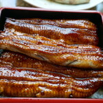うなぎ亭 友栄 - うな重ご飯大盛り