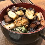 Motsuyaki Togaya - 