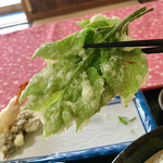 Gyouzan - 山菜の葉