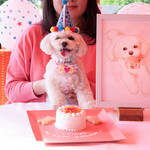 カフェ・スコーラ - わんちゃんアニバーサリー　似顔絵セット