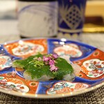 店名なし - 真ゴチ お造り