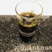 カンテサンス - 