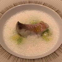 スガラボヴィー - 