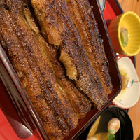 鰻う おか冨士 - 上うな重