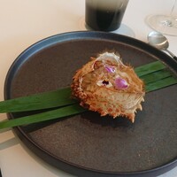 レストラン オオツ - 