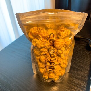 コーノロジー_0