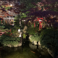 東京 芝 とうふ屋うかい - 