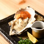 Grilled Oyster (gout)