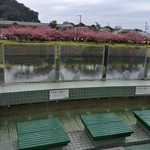 ロカンタ - 足湯からもロカンタと同じ景色が見られます。