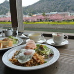 ロカンタ - 河津桜を観ながらカフェ