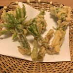 ぎんざ 山路 - 山菜の天ぷら　塩で こしあぶら、タラの芽、など、山菜がたくさん。 塩がいいですね。
