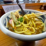 手打うどん　源内 - かしわカレーうどん（1.400円）_2022年5月