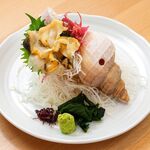 函館産　活真つぶ貝刺