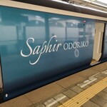 SaPher ODORIKO Cafeteria - 5号車には大型荷物置場あり。そのスペースの外側に、大きなロゴマーク。