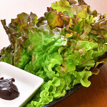 lettuce & gochijang