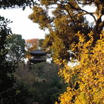 ホテル椿山荘東京 - 2012年12月