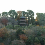 ホテル椿山荘東京 - 2012年12月