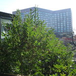 ホテル椿山荘東京 - 2012年12月