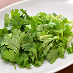 Coriander (cilantro)