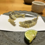 割烹 一楓 - 稚鮎！泳いどる♡