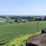 井尻太郎茶園 峠の里 - 