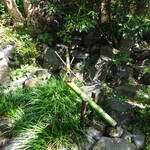 山ばな平八茶屋 - 外観（庭）