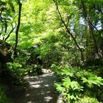 山ばな平八茶屋 - 外観（庭）