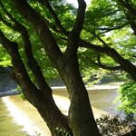 山ばな平八茶屋 - 店内（個室）眺め