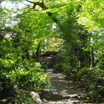 山ばな平八茶屋 - 外観（庭）