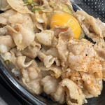 Densetsu No Suta Donya - すた丼860円　飯増し160円