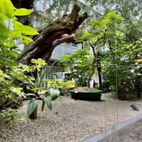 熱香森 - 外も自然がいっぱい♫