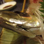 鯵顔面。動いてます。