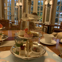 スプレンディード - 