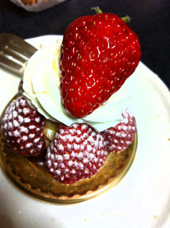 マガジン - イチゴのタルト