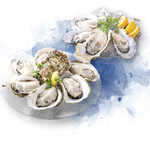 OysterTable - 