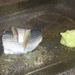 寿司割烹 魚紋 - コハダ