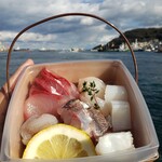 海がみえるカフェ スコット - Scott 旬魚の海鮮丼