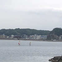 レストラン ラ・マーレ - 