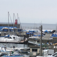 レストラン ラ・マーレ - 