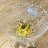 restaurant KAM﻿ - ニンジンのムース フェンネル