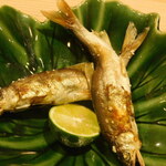 新日本料理おぶね - 稚鮎の天麩羅