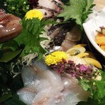 酒肴一献 わさびん - 手前はキスのお造り