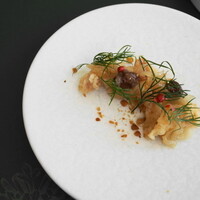 GLICINE di ACQUA PAZZA - 