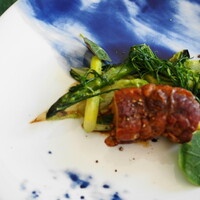GLICINE di ACQUA PAZZA - 